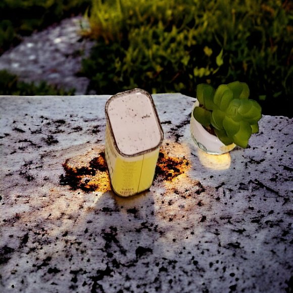 RARE Antique Vintage "Littles" Dehydrated Sweet Pepper Flakes Spice Tin - Picture 5 of 7